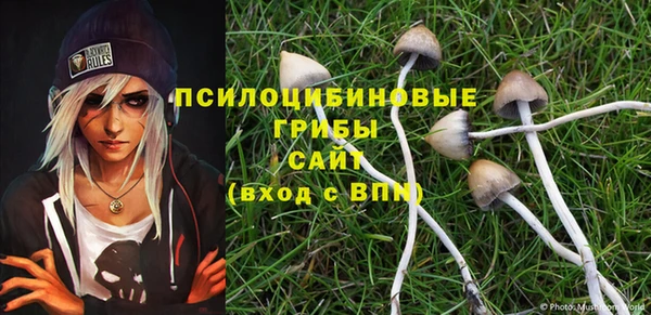 альфа пвп Баксан