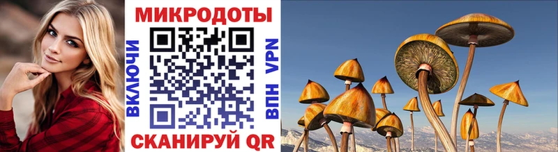 Псилоцибиновые грибы прущие грибы  Петрозаводск 
